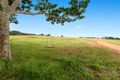 Property photo of 13 Eudlo Flats Road Diddillibah QLD 4559