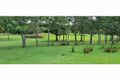Property photo of 32 Krucks Road Conondale QLD 4552