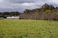 Property photo of 1 Ellison Street Kinglake VIC 3763