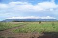 Property photo of 479 Hodel Road Giru QLD 4809