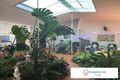 Property photo of 36 Maud Street Flying Fish Point QLD 4860