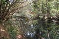 Property photo of 585 Bloomfield Road Rossville QLD 4895