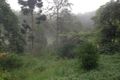 Property photo of 135 Newton Drive Nimbin NSW 2480
