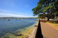 Property photo of 7/21 Balfour Road Rose Bay NSW 2029