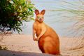 Property photo of 19 Island Street South Stradbroke QLD 4216