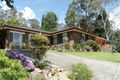 Property photo of 23 Morgan Street Thornleigh NSW 2120