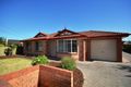 Property photo of 1/1 Johnstone Street Glengowrie SA 5044