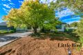 Property photo of 23 McIntosh Street Scullin ACT 2614