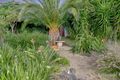 Property photo of 38 Valley View Grove Harkness VIC 3337
