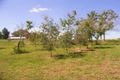 Property photo of 84 Gap Flat Road Allans Flat VIC 3691