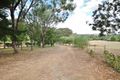 Property photo of 59 Noonans Road Young NSW 2594