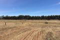 Property photo of 120 Oxford Terrace Riverton SA 5412