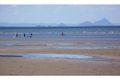 Property photo of 77 Oquinn Street Nudgee Beach QLD 4014