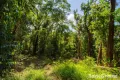 Property photo of LOT 2 Gorge View Crescent Mossman Gorge QLD 4873