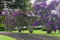 Property photo of 23 Callistemon Drive Federal NSW 2480