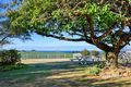 Property photo of 155 West Pine Road Penguin TAS 7316