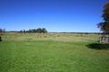 Property photo of 34 Wondalga Crescent Nowra NSW 2541