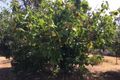 Property photo of 40 Bridge Street Stanthorpe QLD 4380