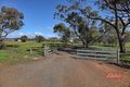 Property photo of 80 Johnston Street Wagin WA 6315