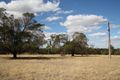 Property photo of 148 Repeater Station Road Naracoorte SA 5271