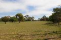 Property photo of 148 Repeater Station Road Naracoorte SA 5271