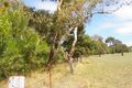 Property photo of 148 Repeater Station Road Naracoorte SA 5271