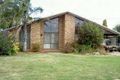 Property photo of 17 Yagobie Street Gravesend NSW 2401