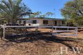 Property photo of 491 Rubyvale Road Clermont QLD 4721