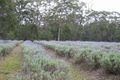 Property photo of 79 The Wool Road Basin View NSW 2540