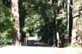 Property photo of 83A Central Road Avalon Beach NSW 2107