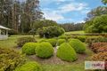 Property photo of 3/987 Myers Creek Road Toolangi VIC 3777