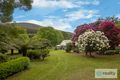 Property photo of 3/987 Myers Creek Road Toolangi VIC 3777