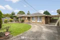 Property photo of 19 James Road Ferntree Gully VIC 3156