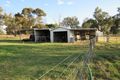 Property photo of 442 Warral Road Warral NSW 2340