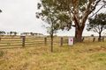 Property photo of 221 Baldersleigh Road Guyra NSW 2365
