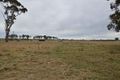 Property photo of 221 Baldersleigh Road Guyra NSW 2365