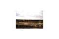 Property photo of 22 Oconnell Street Berwick VIC 3806