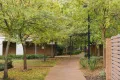 Property photo of 53/116 Easty Street Phillip ACT 2606