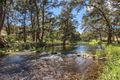 Property photo of 15 Riverlea Road Apple Tree Flat NSW 2850