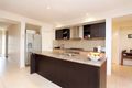 Property photo of 17 Swordgrass Avenue Tarneit VIC 3029