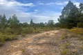 Property photo of 134 Hawkins Lane Coonabarabran NSW 2357