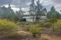 Property photo of 134 Hawkins Lane Coonabarabran NSW 2357