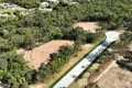 Property photo of 12 Meilland Street Yeppoon QLD 4703