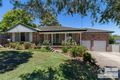 Property photo of 61 Caprera Road Northmead NSW 2152
