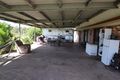 Property photo of 232 Top Waterloo Road Waterloo QLD 4673