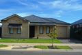 Property photo of 49 Franklin Avenue Mawson Lakes SA 5095