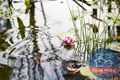 Property photo of 47 Cimmaron Way Kialla VIC 3631