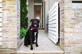 Property photo of 41 Avoca Street Bondi NSW 2026