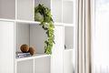 Property photo of 4/49 Lambrigg Street Farrer ACT 2607