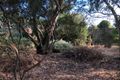 Property photo of 19 Haggar Street Eaglehawk VIC 3556
